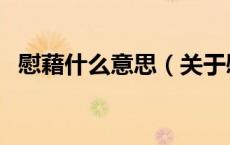 慰藉什么意思（关于慰藉什么意思的介绍）