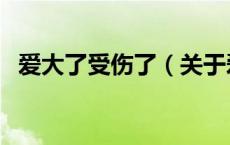 爱大了受伤了（关于爱大了受伤了的介绍）