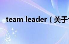 team leader（关于team leader的介绍）
