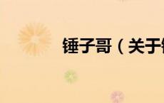 锤子哥（关于锤子哥的介绍）