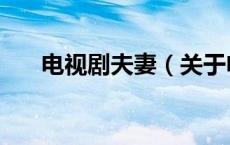 电视剧夫妻（关于电视剧夫妻的介绍）