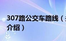 307路公交车路线（关于307路公交车路线的介绍）