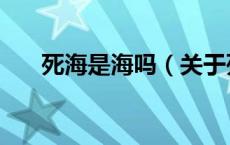 死海是海吗（关于死海是海吗的介绍）