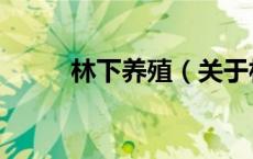 林下养殖（关于林下养殖的介绍）