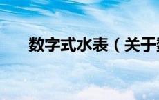 数字式水表（关于数字式水表的介绍）