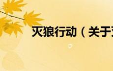 灭狼行动（关于灭狼行动的介绍）