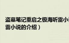 盗墓笔记重启之极海听雷小说（关于盗墓笔记重启之极海听雷小说的介绍）