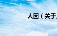 人因（关于人因的介绍）
