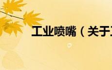 工业喷嘴（关于工业喷嘴的介绍）