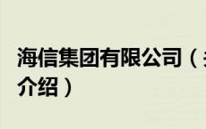 海信集团有限公司（关于海信集团有限公司的介绍）