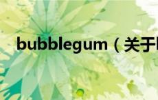 bubblegum（关于bubblegum的介绍）