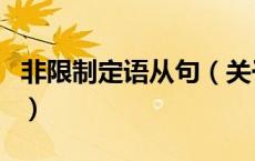 非限制定语从句（关于非限制定语从句的介绍）