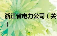 浙江省电力公司（关于浙江省电力公司的介绍）