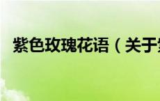 紫色玫瑰花语（关于紫色玫瑰花语的介绍）
