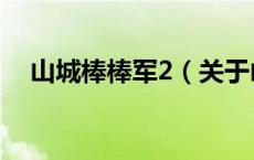 山城棒棒军2（关于山城棒棒军2的介绍）