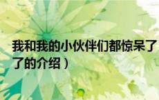 我和我的小伙伴们都惊呆了（关于我和我的小伙伴们都惊呆了的介绍）