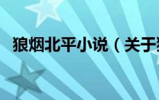 狼烟北平小说（关于狼烟北平小说的介绍）