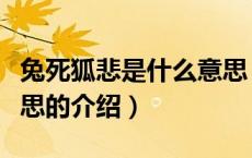 兔死狐悲是什么意思（关于兔死狐悲是什么意思的介绍）