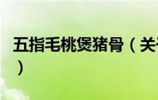 五指毛桃煲猪骨（关于五指毛桃煲猪骨的介绍）