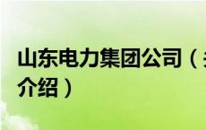 山东电力集团公司（关于山东电力集团公司的介绍）