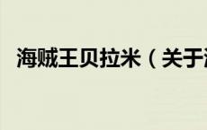 海贼王贝拉米（关于海贼王贝拉米的介绍）
