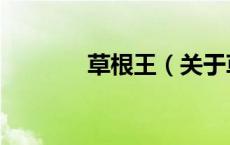 草根王（关于草根王的介绍）