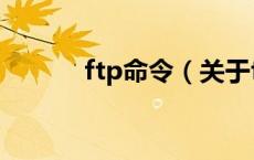 ftp命令（关于ftp命令的介绍）