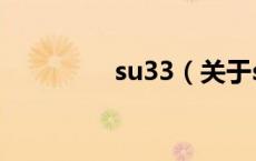 su33（关于su33的介绍）