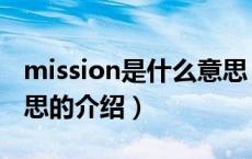 mission是什么意思（关于mission是什么意思的介绍）