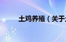 土鸡养殖（关于土鸡养殖的介绍）