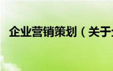 企业营销策划（关于企业营销策划的介绍）