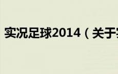 实况足球2014（关于实况足球2014的介绍）