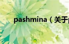 pashmina（关于pashmina的介绍）