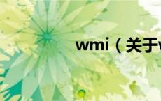 wmi（关于wmi的介绍）