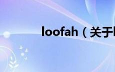loofah（关于loofah的介绍）