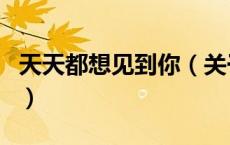 天天都想见到你（关于天天都想见到你的介绍）