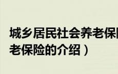 城乡居民社会养老保险（关于城乡居民社会养老保险的介绍）