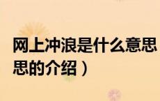 网上冲浪是什么意思（关于网上冲浪是什么意思的介绍）