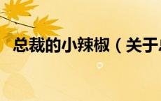 总裁的小辣椒（关于总裁的小辣椒的介绍）