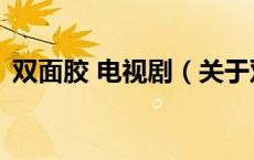 双面胶 电视剧（关于双面胶 电视剧的介绍）