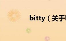 bitty（关于bitty的介绍）