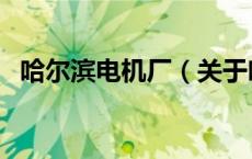 哈尔滨电机厂（关于哈尔滨电机厂的介绍）