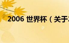 2006 世界杯（关于2006 世界杯的介绍）
