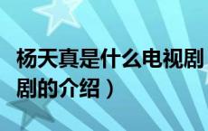 杨天真是什么电视剧（关于杨天真是什么电视剧的介绍）