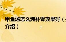 甲鱼汤怎么炖补肾效果好（关于甲鱼汤怎么炖补肾效果好的介绍）