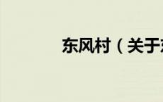 东风村（关于东风村的介绍）