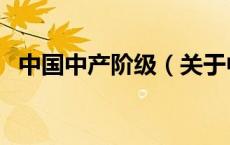 中国中产阶级（关于中国中产阶级的介绍）