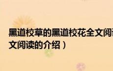 黑道校草的黑道校花全文阅读（关于黑道校草的黑道校花全文阅读的介绍）