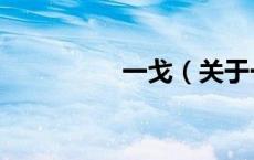 一戈（关于一戈的介绍）