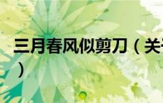 三月春风似剪刀（关于三月春风似剪刀的介绍）